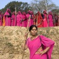 pinksarismain